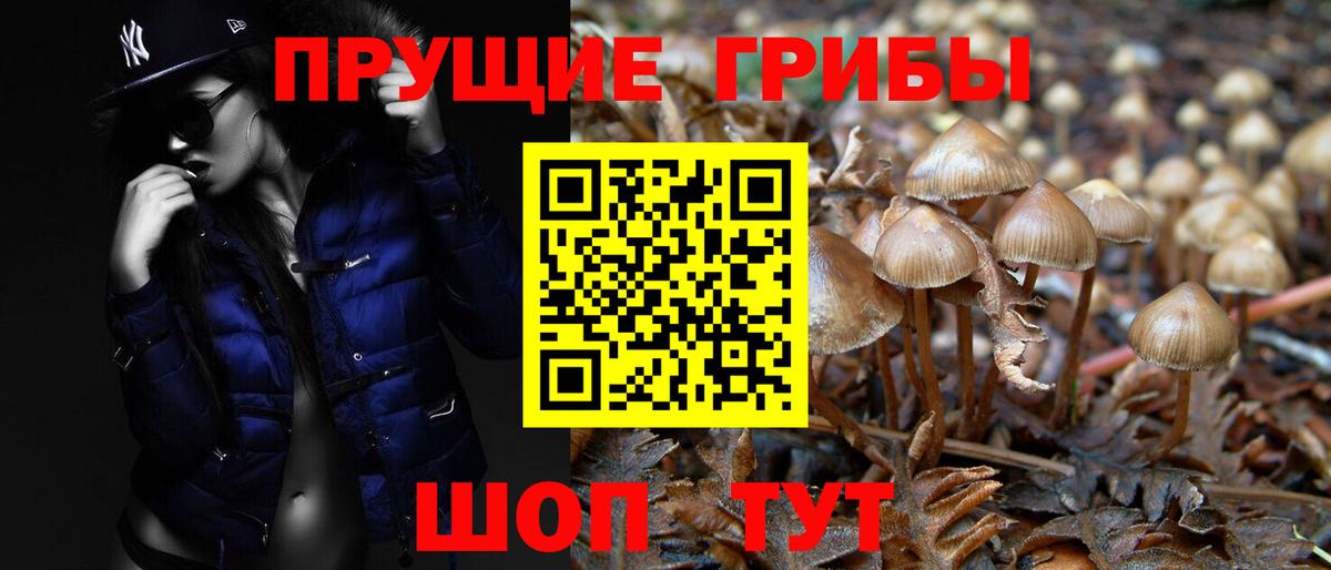 Псилоцибиновые грибы ЛСД Балашов